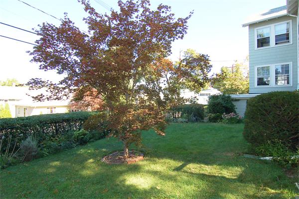 100 Horace Road, Unit 100 Belmont, MA 02478 - Photo 11 of 11 Gallery Image 11