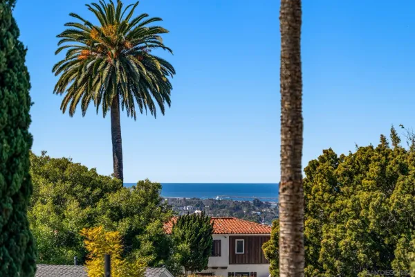 a view of a palm tree with flower plants and palm tree