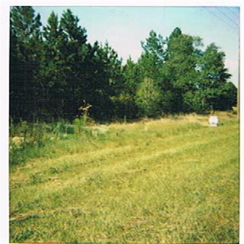 283 Rummage Pack House Road Ellerbe, NC 28338 - Photo 1 of 1 Primary Photo