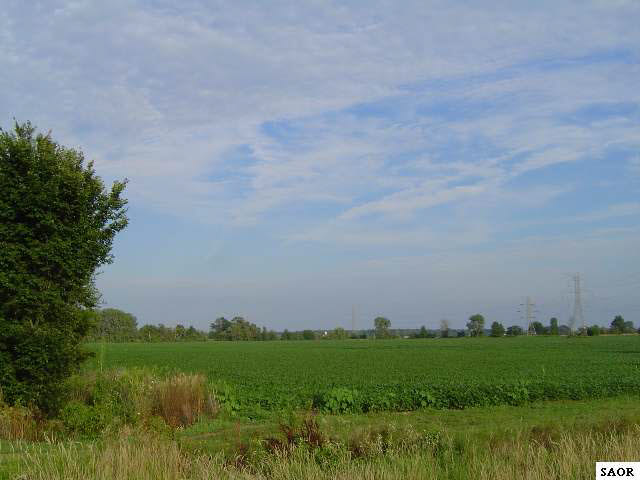 48197-2.JPG
