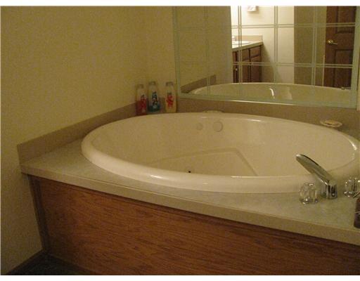 686 Venetia Road Venetia, PA 15367 - Photo 8 of 18 Master Bath/Spa. view of the master jaccuzi tub