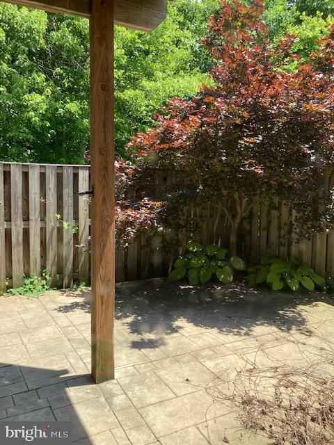8890 Eagle Rock Lane Springfield, VA 22153 - Photo 37 of 39 Japanese maples on both sides of patio