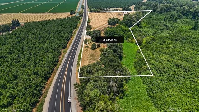 a view of a house with a yard potted plants and a large tree