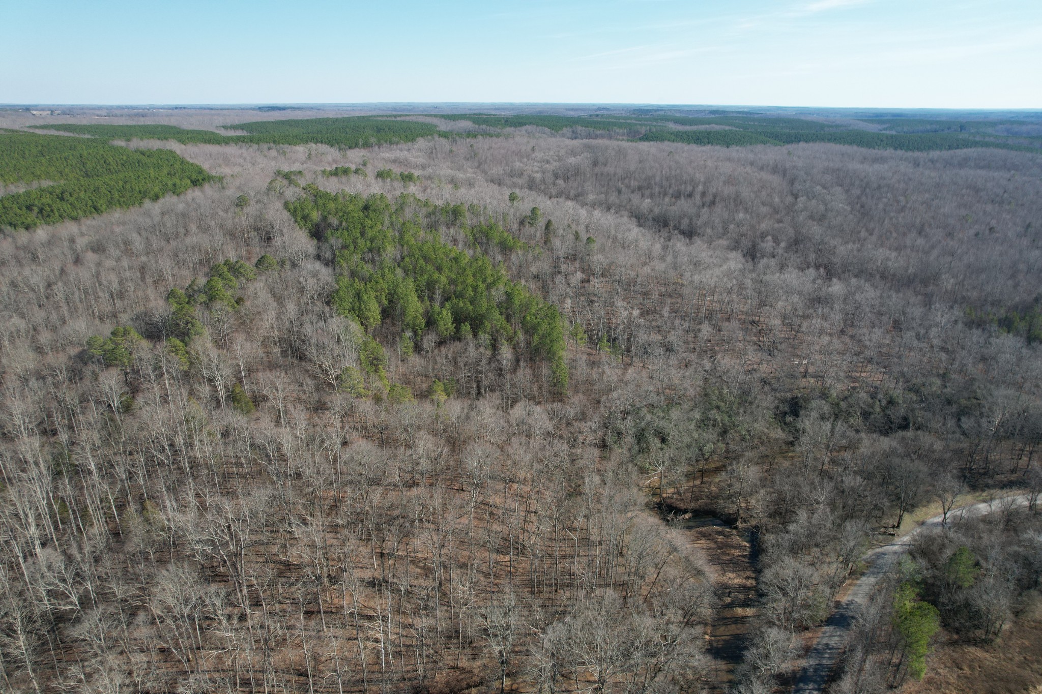 1 Fish Trap Road Lawrenceburg, TN 38464 - Photo 8 of 8 a view of a field with an ocean and trees