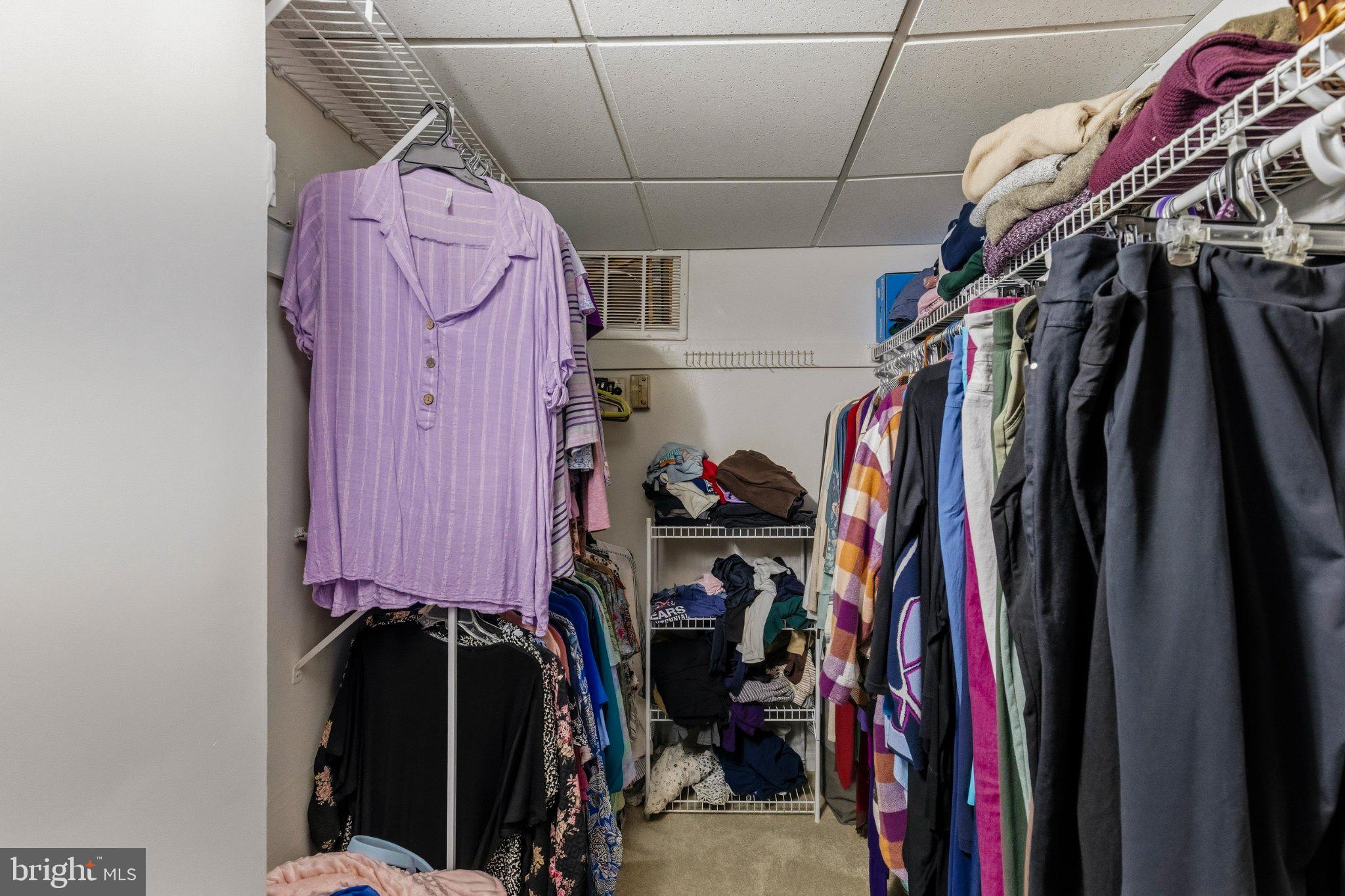 2638 Fort Farnsworth Road, Unit 118 Alexandria, VA 22303 - Photo 52 of 71 Closet Space