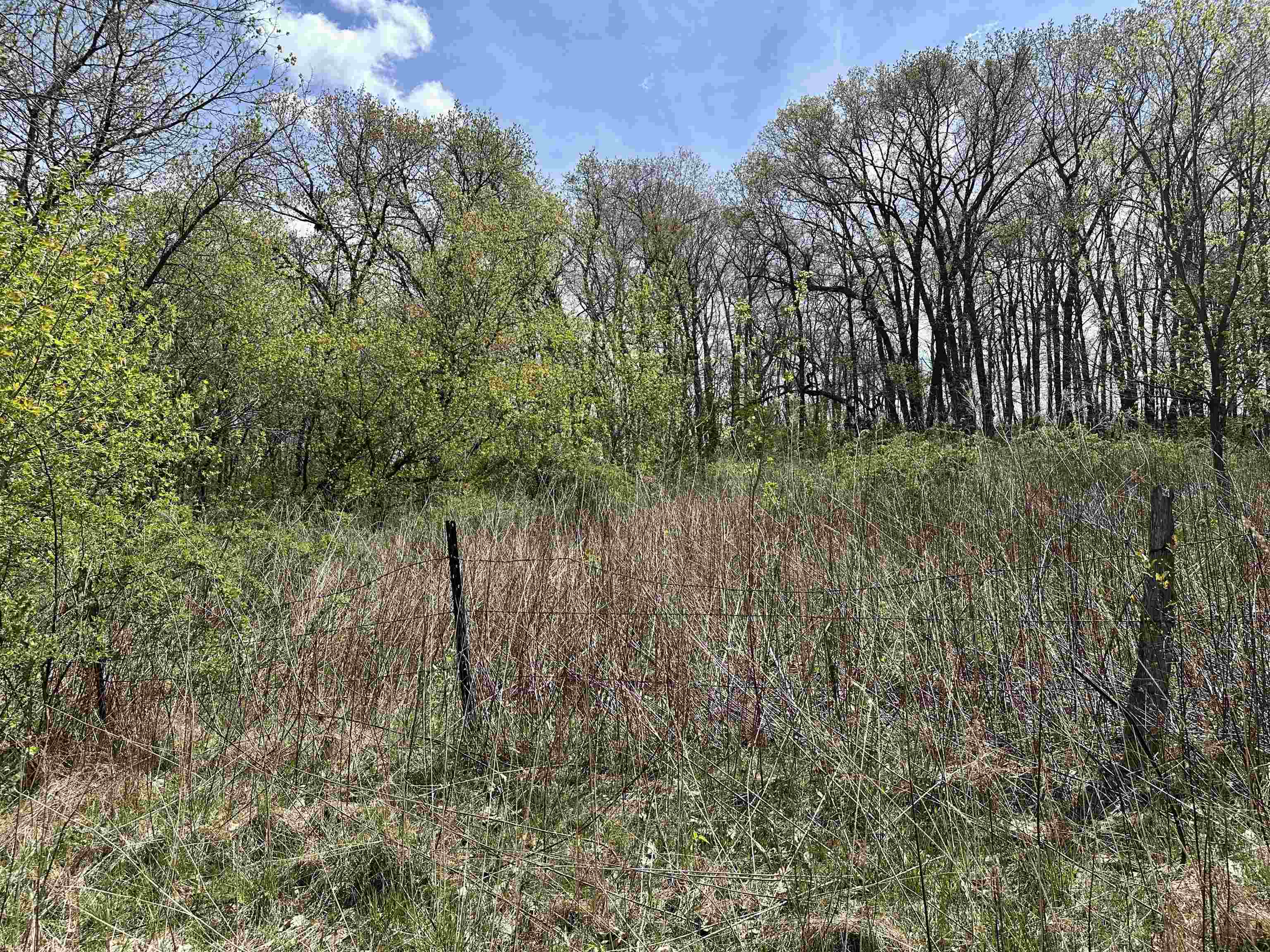 2030 Fairview Road Avoca, WI 53506 - Photo 11 of 47