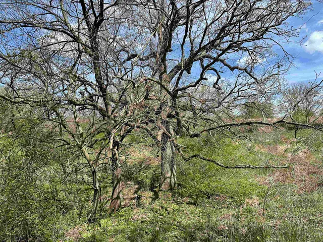 $99,900 | 2030 Fairview Road, Avoca, WI 53506