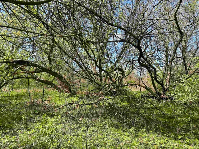 $99,900 | 2030 Fairview Road, Avoca, WI 53506