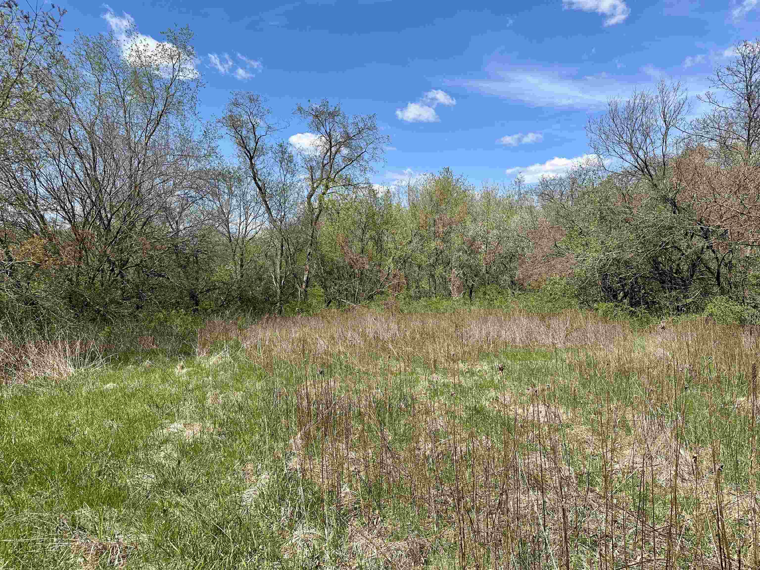 2030 Fairview Road Avoca, WI 53506 - Photo 32 of 47