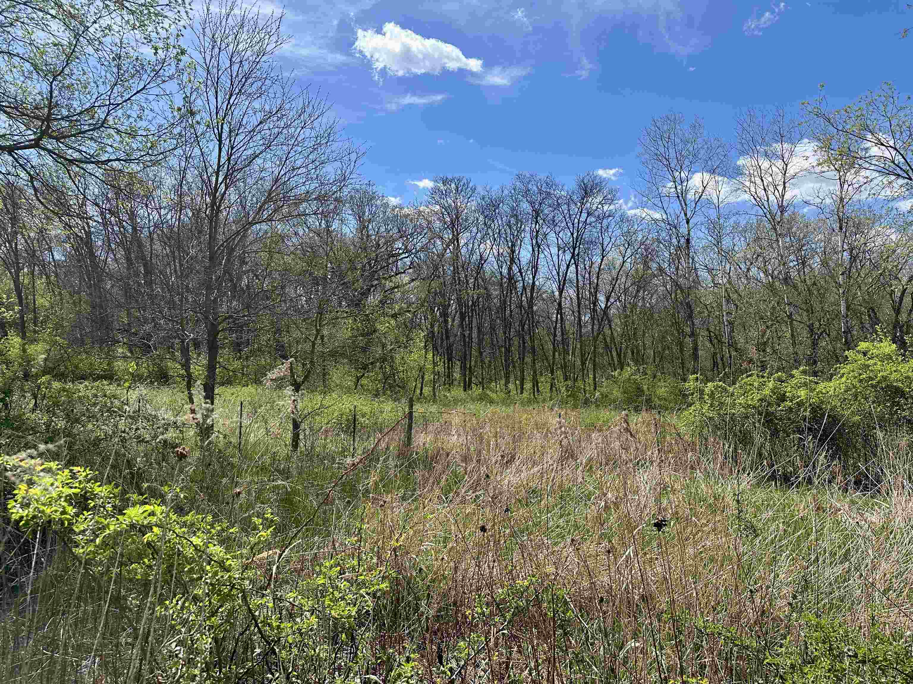 2030 Fairview Road Avoca, WI 53506 - Photo 33 of 47