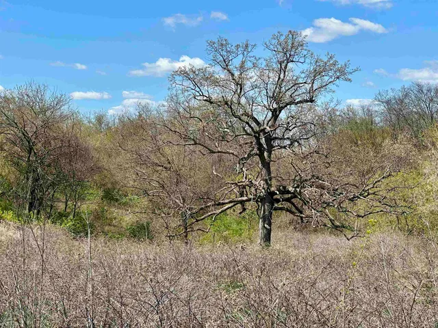 $99,900 | 2030 Fairview Road, Avoca, WI 53506