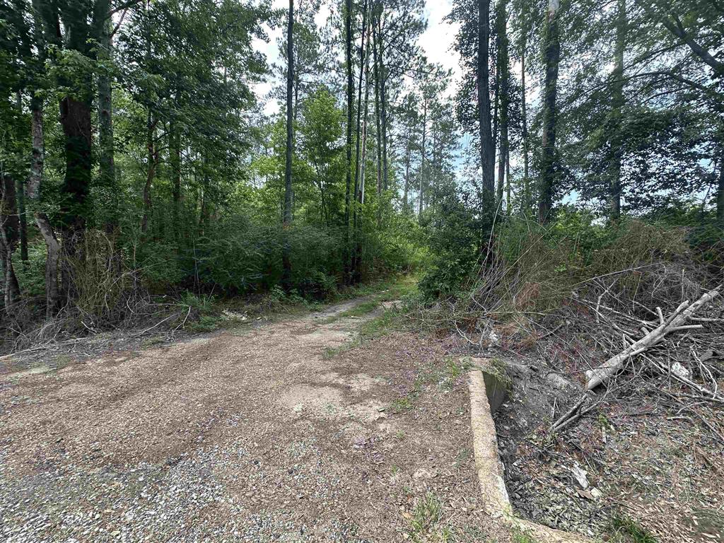 West Santa Fe Road Oakdale, LA 71463 - Photo 4 of 6