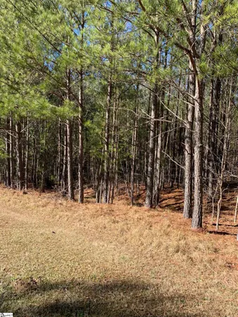 $25,000 | 306-308 Watersedge Drive, Unit LOT #88 AND LOT #89, Cross Hill, SC 29332