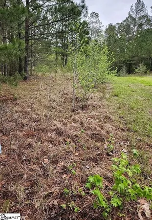 $25,000 | 306-308 Watersedge Drive, Unit LOT #88 AND LOT #89, Cross Hill, SC 29332