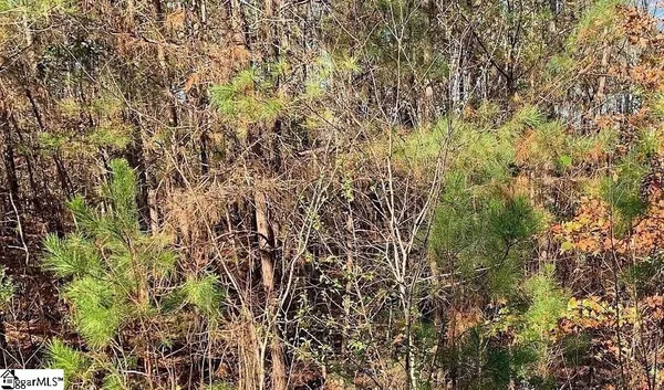 $25,000 | 306-308 Watersedge Drive, Unit LOT #88 AND LOT #89, Cross Hill, SC 29332