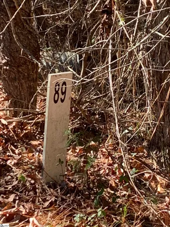 $25,000 | 306-308 Watersedge Drive, Unit LOT #88 AND LOT #89, Cross Hill, SC 29332