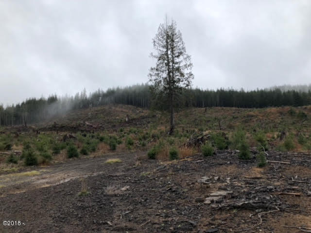 642 Fred Taylor Road Siletz, OR 97380 - Photo 11 of 21 11