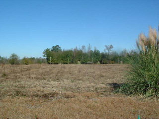0 Goodwill Church Road Manning, SC 29102 - Photo 1 of 1 Gallery Image 1
