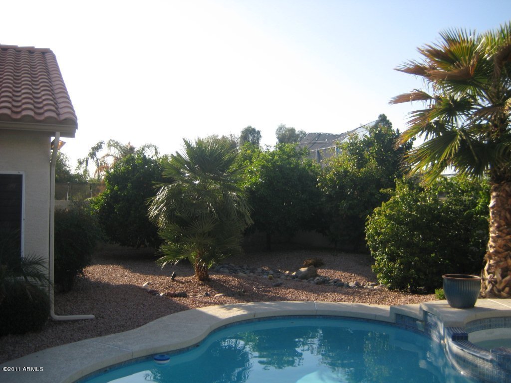 4722 East Hearn Road Phoenix, AZ 85032 - Photo 19 of 23 FRUIT TREES / BACK YARD