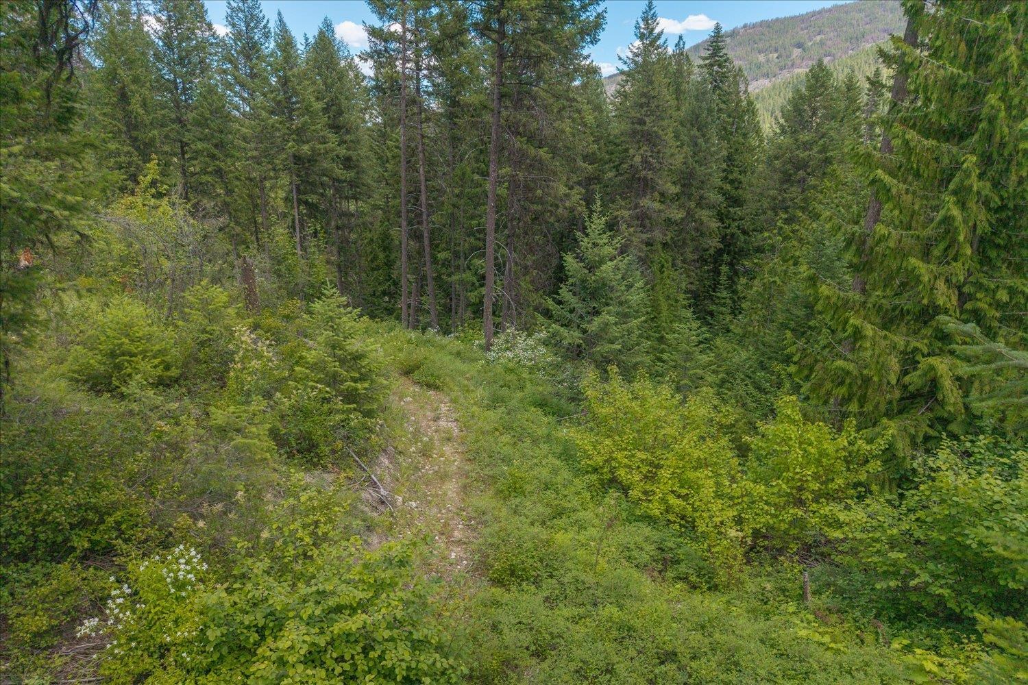 604 Deadman Creek Road Kettle Falls, WA 99141 - Photo 48 of 50 Gallery Image 48