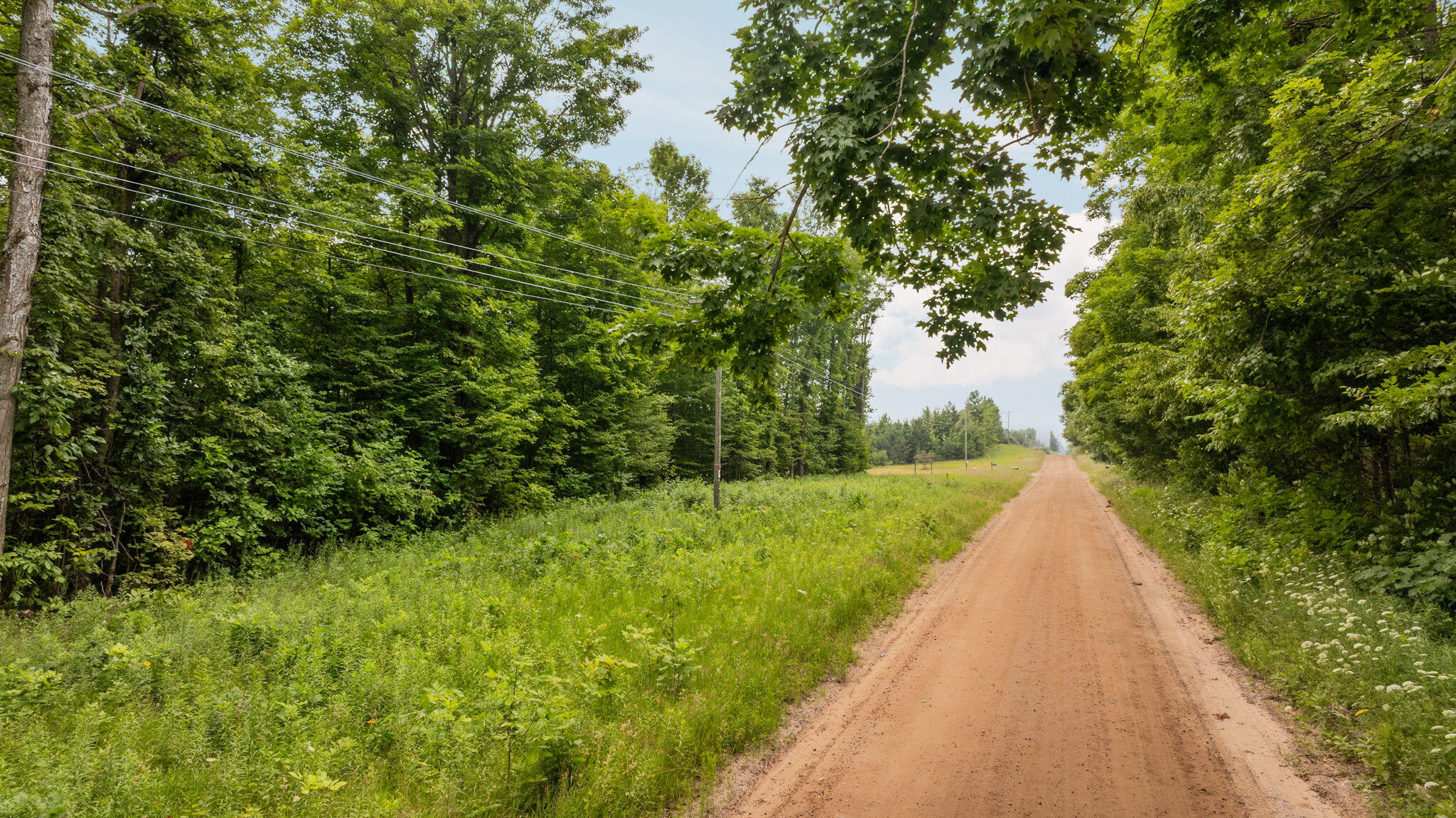Dunham Road Vanderbilt, MI 49795 - Photo 3 of 31 Gallery Image 3