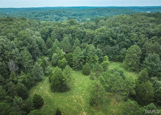 $670,000 | 3292 County Road 625, Birch Tree, MO 65438