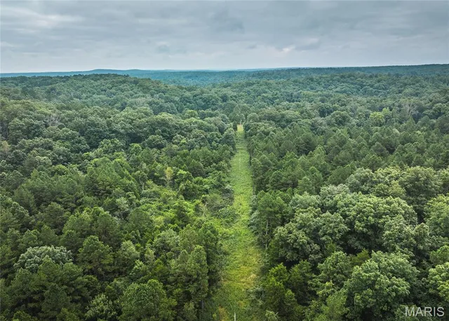 $670,000 | 3292 County Road 625, Birch Tree, MO 65438