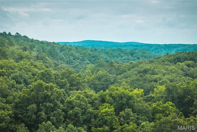 $670,000 | 3292 County Road 625, Birch Tree, MO 65438