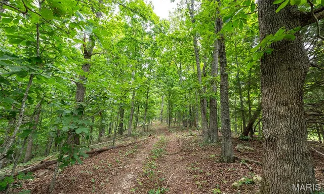 $670,000 | 3292 County Road 625, Birch Tree, MO 65438