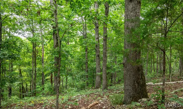 $670,000 | 3292 County Road 625, Birch Tree, MO 65438