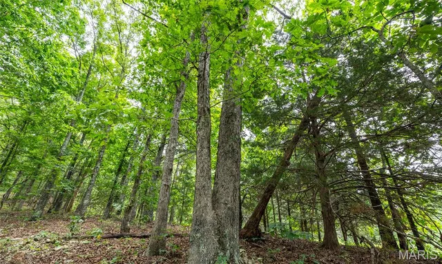 $670,000 | 3292 County Road 625, Birch Tree, MO 65438