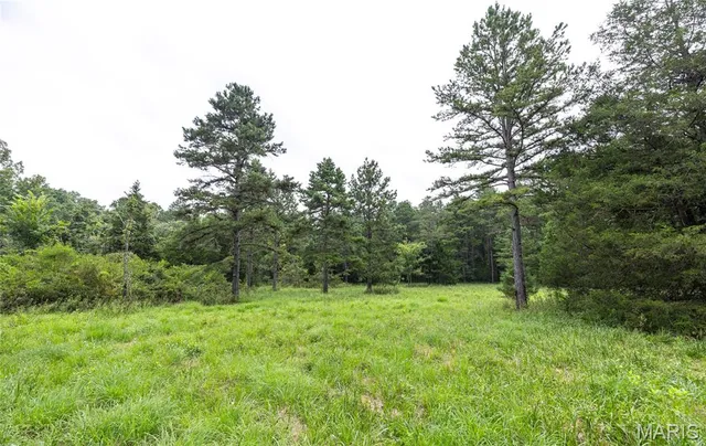 $670,000 | 3292 County Road 625, Birch Tree, MO 65438