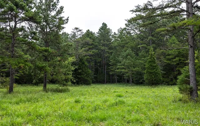 $670,000 | 3292 County Road 625, Birch Tree, MO 65438