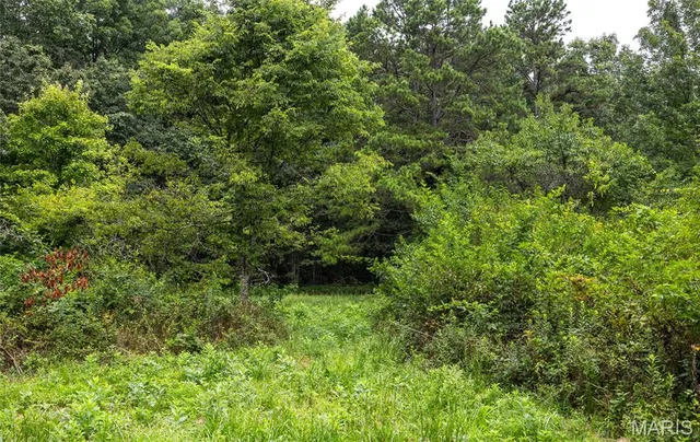 $670,000 | 3292 County Road 625, Birch Tree, MO 65438