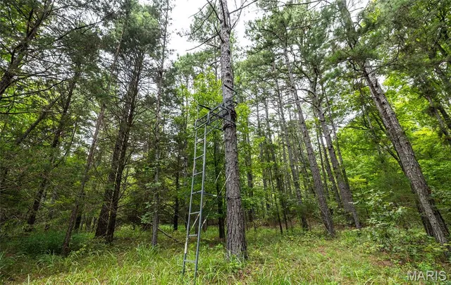 $670,000 | 3292 County Road 625, Birch Tree, MO 65438