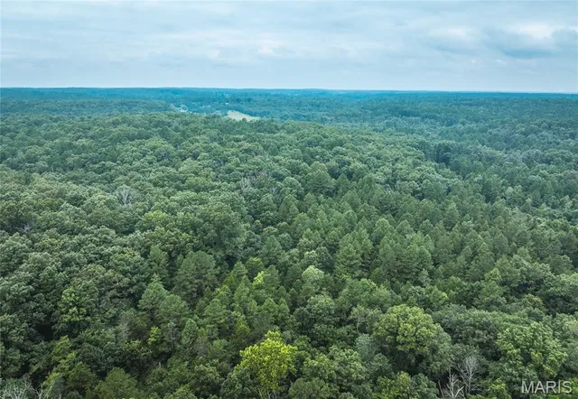 $670,000 | 3292 County Road 625, Birch Tree, MO 65438