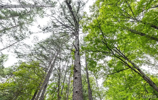 $670,000 | 3292 County Road 625, Birch Tree, MO 65438