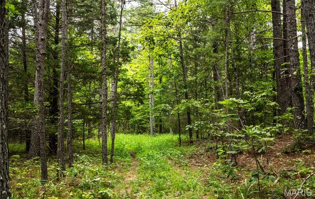 $670,000 | 3292 County Road 625, Birch Tree, MO 65438