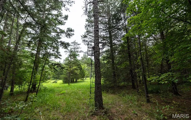 $670,000 | 3292 County Road 625, Birch Tree, MO 65438