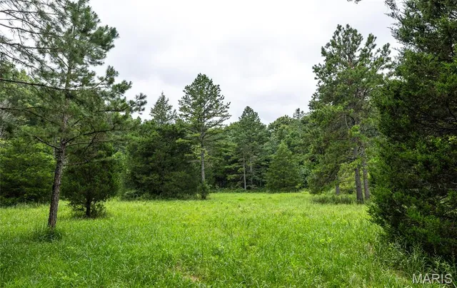 $670,000 | 3292 County Road 625, Birch Tree, MO 65438