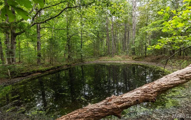 $670,000 | 3292 County Road 625, Birch Tree, MO 65438