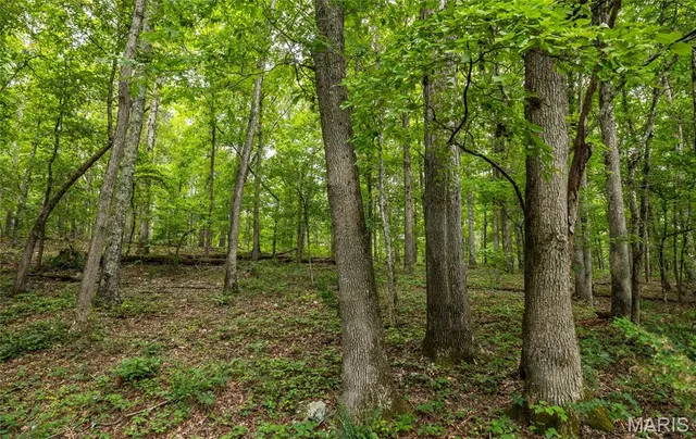 $670,000 | 3292 County Road 625, Birch Tree, MO 65438