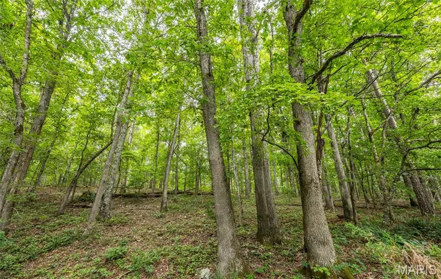 $670,000 | 3292 County Road 625, Birch Tree, MO 65438