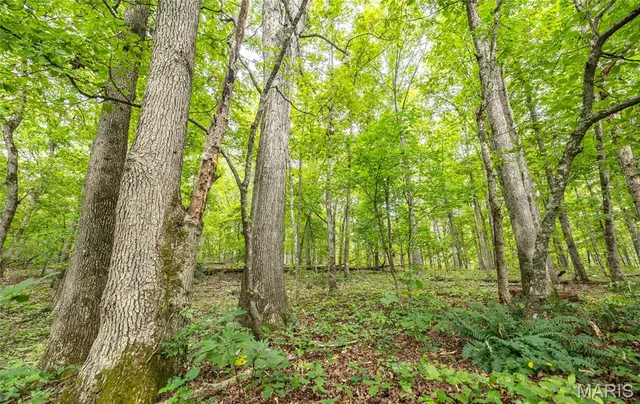 $670,000 | 3292 County Road 625, Birch Tree, MO 65438