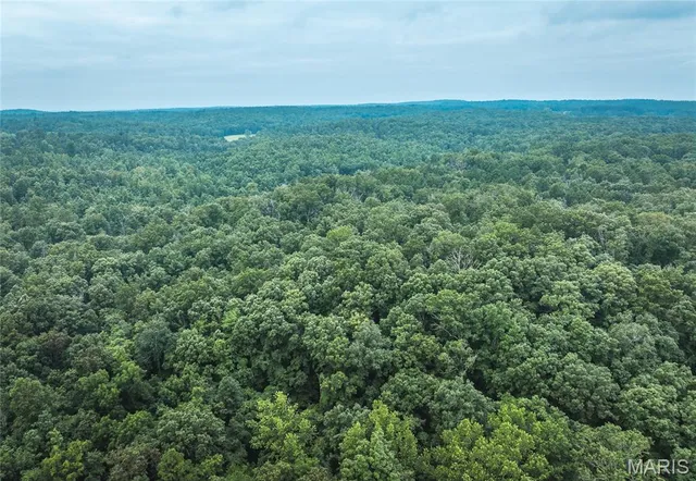 $670,000 | 3292 County Road 625, Birch Tree, MO 65438