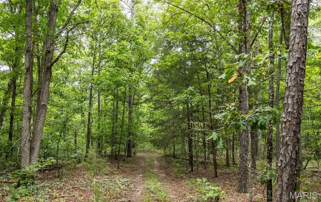 $670,000 | 3292 County Road 625, Birch Tree, MO 65438