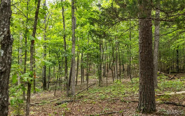 $670,000 | 3292 County Road 625, Birch Tree, MO 65438