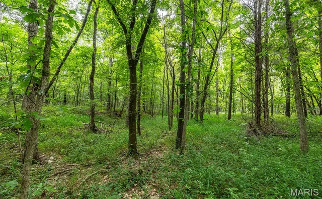 $670,000 | 3292 County Road 625, Birch Tree, MO 65438