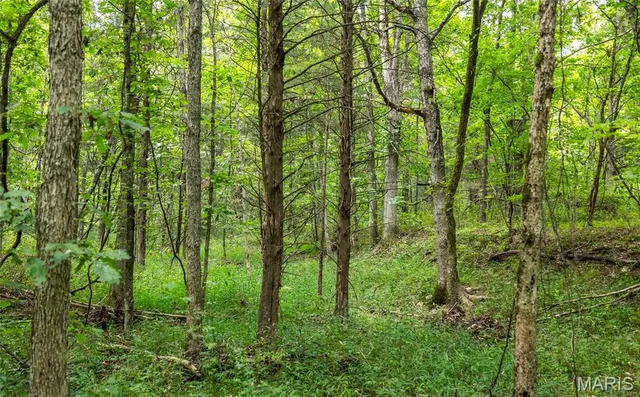 $670,000 | 3292 County Road 625, Birch Tree, MO 65438