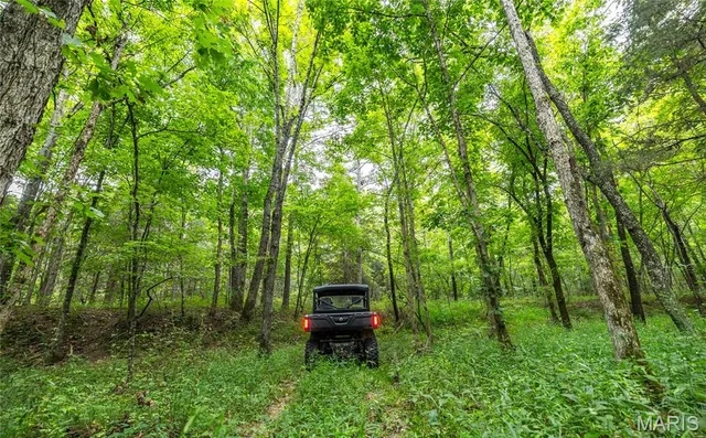 $670,000 | 3292 County Road 625, Birch Tree, MO 65438